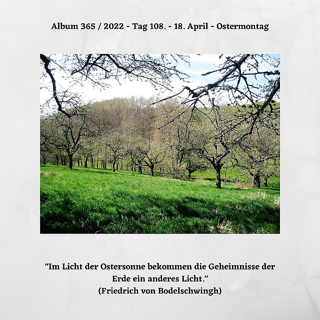 Album 365 / 2022 - Tag 108. - Ostersonntag