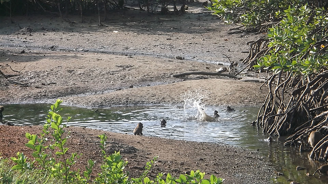 L'heure de la baignade