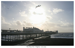 The Palace Pier - Brighton - 26 11 2009