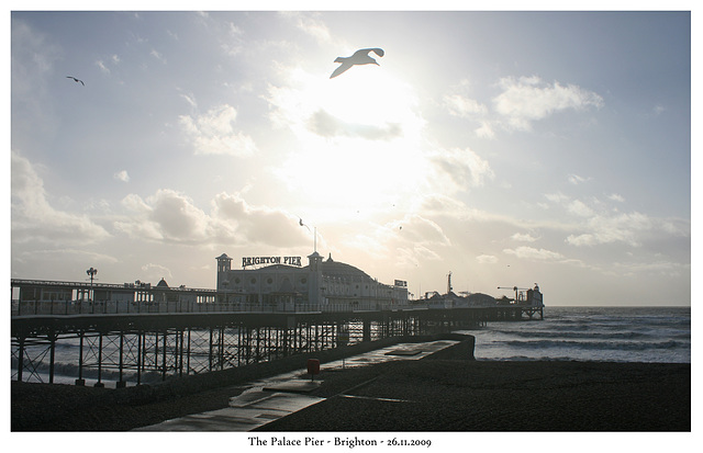 The Palace Pier - Brighton - 26 11 2009