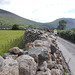 gbw - roadside wall [HWW]