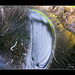 Bumble Bee -Compound Eye Bumble Bee -Compound Eye