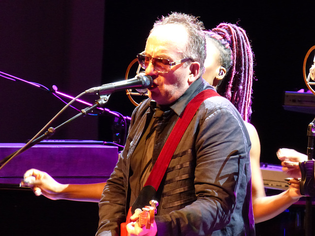 Elvis Costello