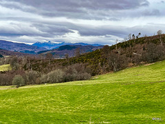 Views from the hills above Strathpeffer over to Contin