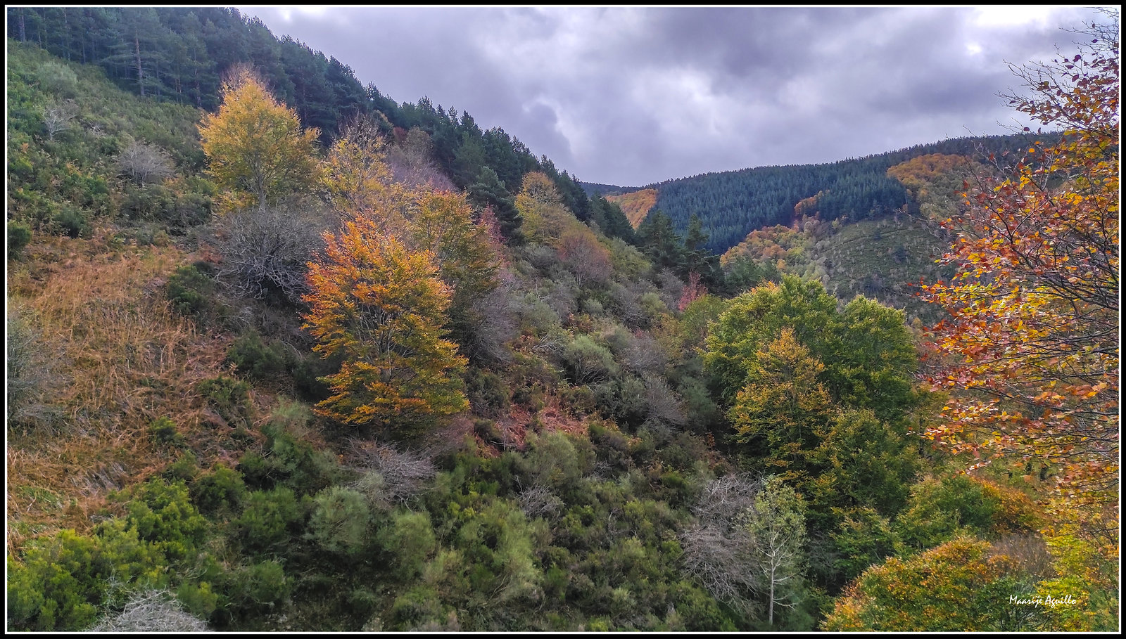 Montes en otoño