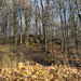 Kerpen (Eifel)