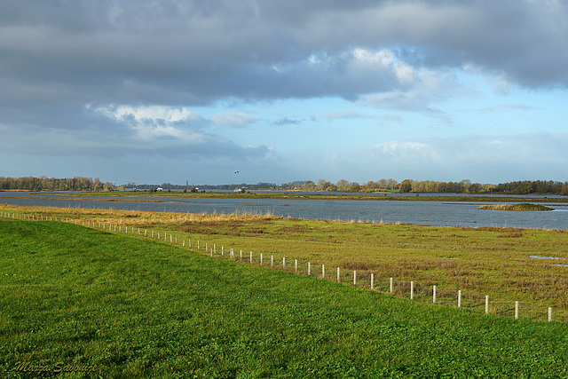 Uitzicht op Gorcum