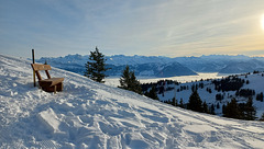 Rigi 18.12.22 / Bitte setzen!