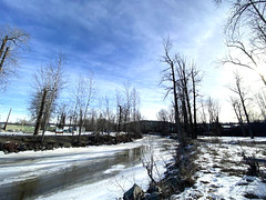 Baker Creek on Sunday Morning.