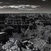 Grand Canyon, North Rim