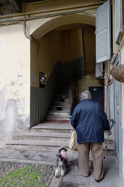 Retour de promenade