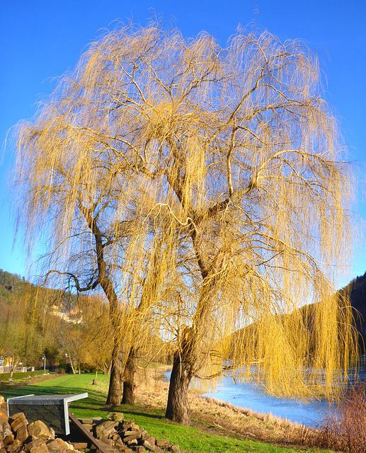 Radtour im Elbtal - 28.1.2016