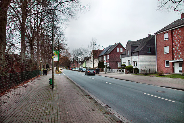 Lippestraße (Hamm-Werries) / 16.12.2023