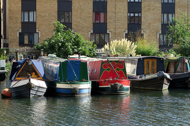 IMG 2513-001-Five Boats