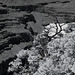 Grand Canyon, North Rim