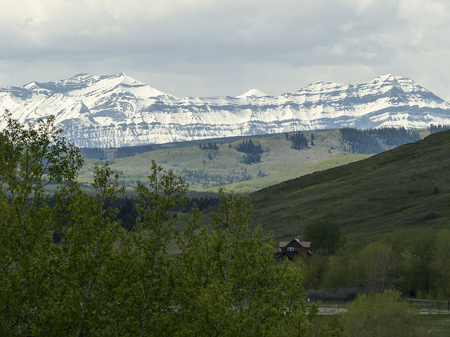 Alberta's foothills and mountains