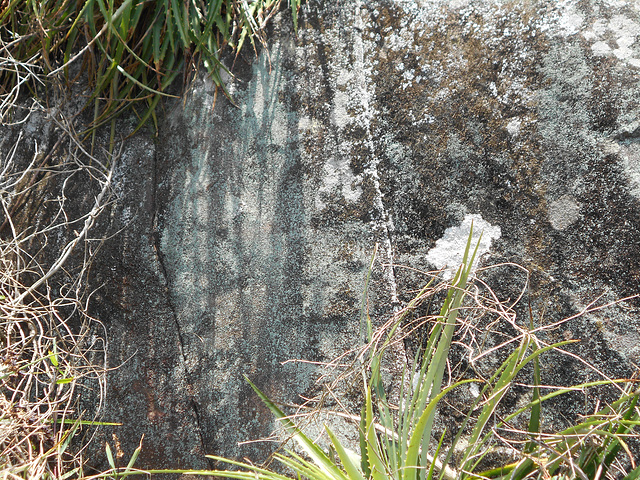 DSCN1969 - Pedra Preta do Norte gravura