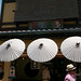 Trois parasols au soleil