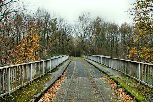 Auf der ehem. Zechenbahnbrücke über der Werner Straße (Bochum-Werne) / 20.11.2018
