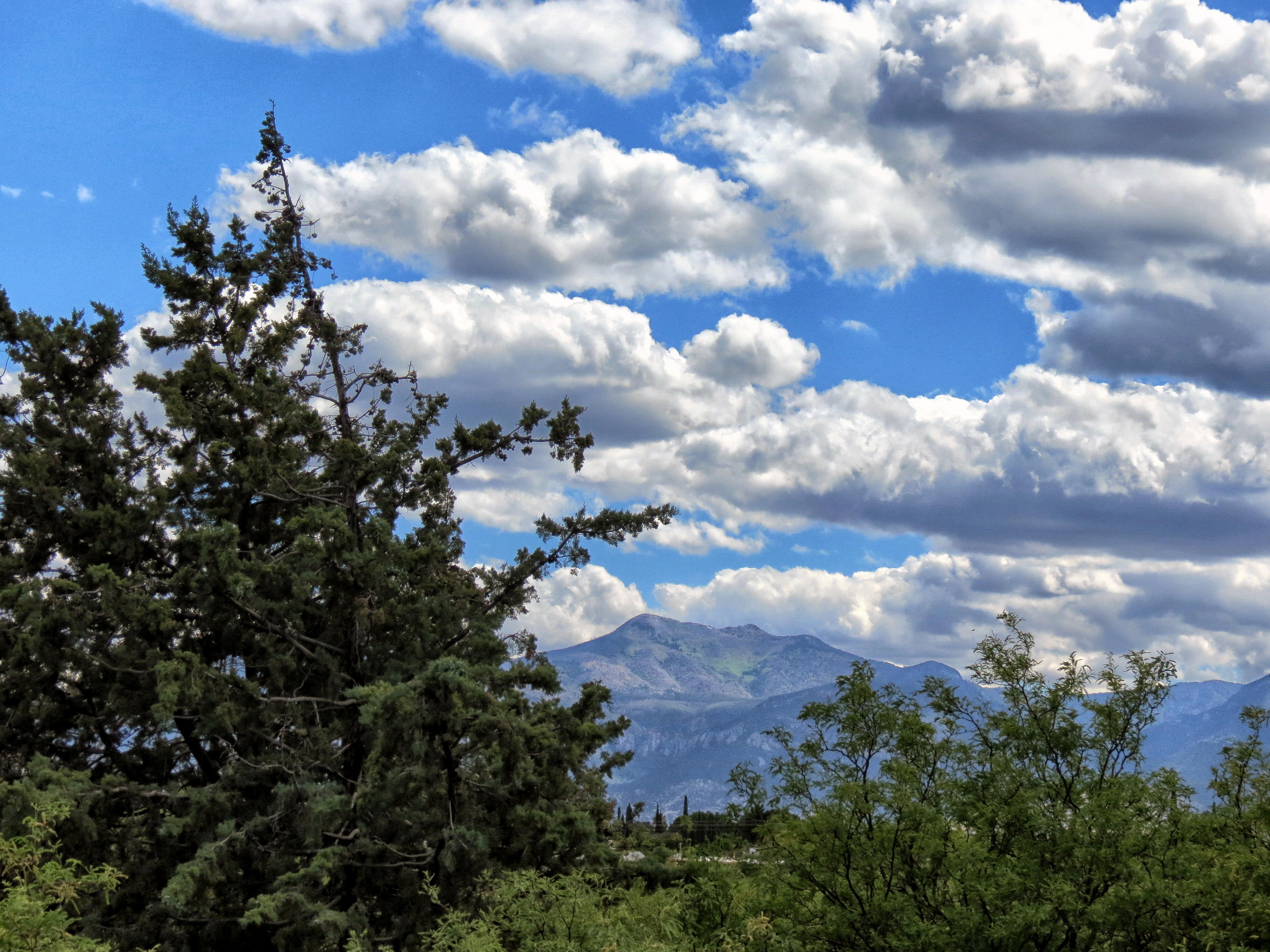 Carr Peak - Huachuca Mountains