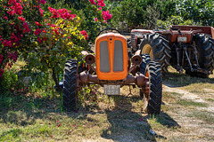 bloomy Fiat tractor