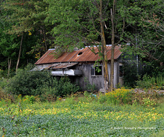 Vieille cabane à sucre