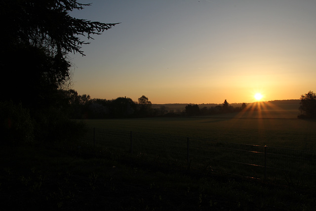 Sonnenaufgang auf der Rosenhöhe