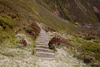 Steps