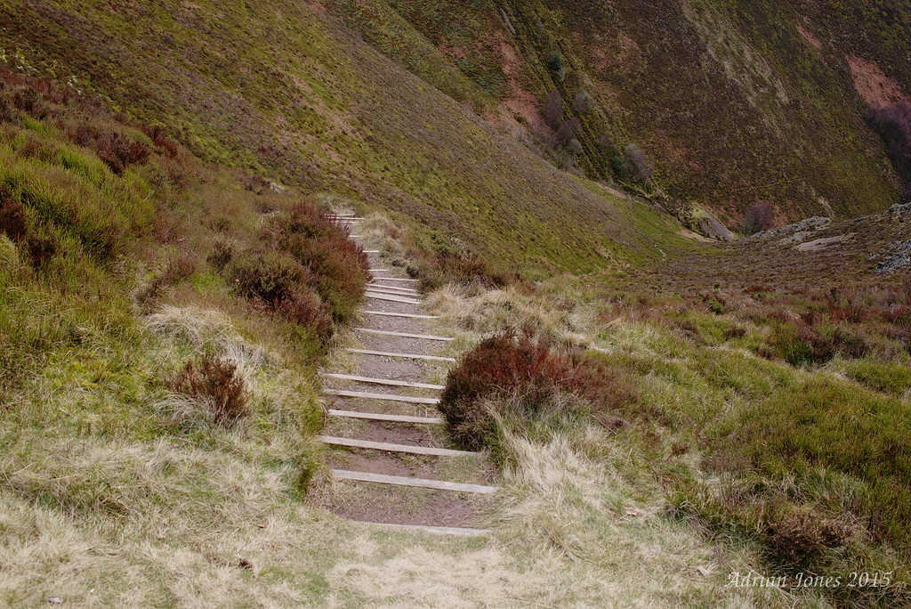 Steps