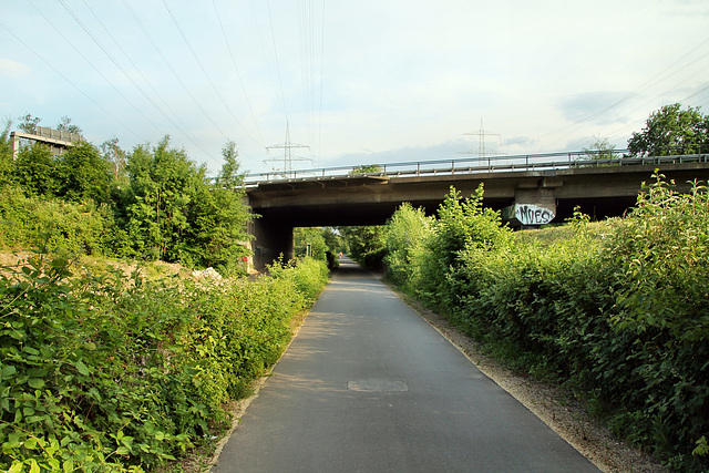 Ehem. Erzbahn mit Autobahnbrücke der A42 (Wanne-Eickel) / 21.05.2018