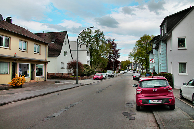 Dellwiger Straße (Dortmund-Lütgendortmund) / 27.04.2024