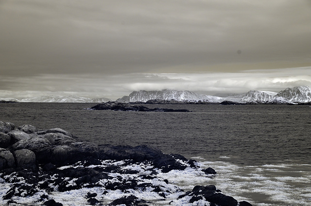 Lofoten - Langoya