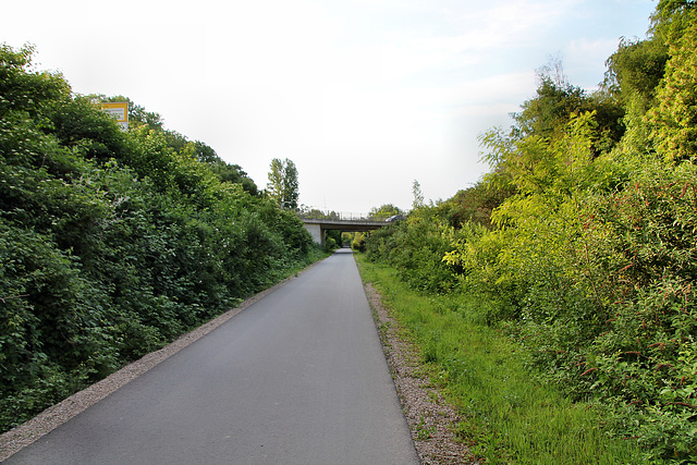 Radweg auf der ehemaligen Erzbahn (Wanne-Eickel) / 21.05.2018
