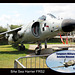 Sea Harrier FRS2 - Tangmere - 6 8 2014