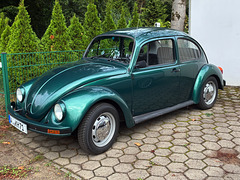 Käfer grün metallic