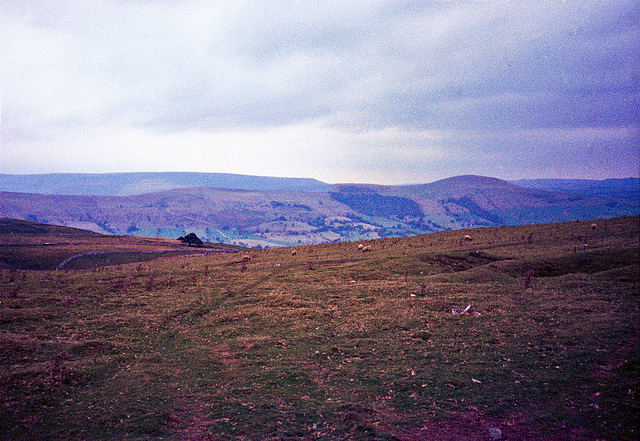 Looking towards Loose Hill from near Herd Low (Scan from 1989)