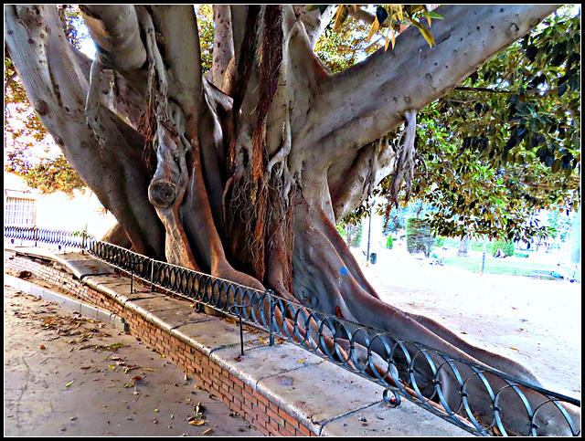 Valencia: jardines del Parterre, 1