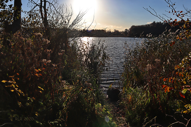 Der Trebbower See