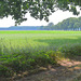 Blick in die Landschaft