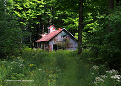 Vieille cabane à sucre