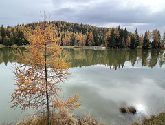 Lake Tret