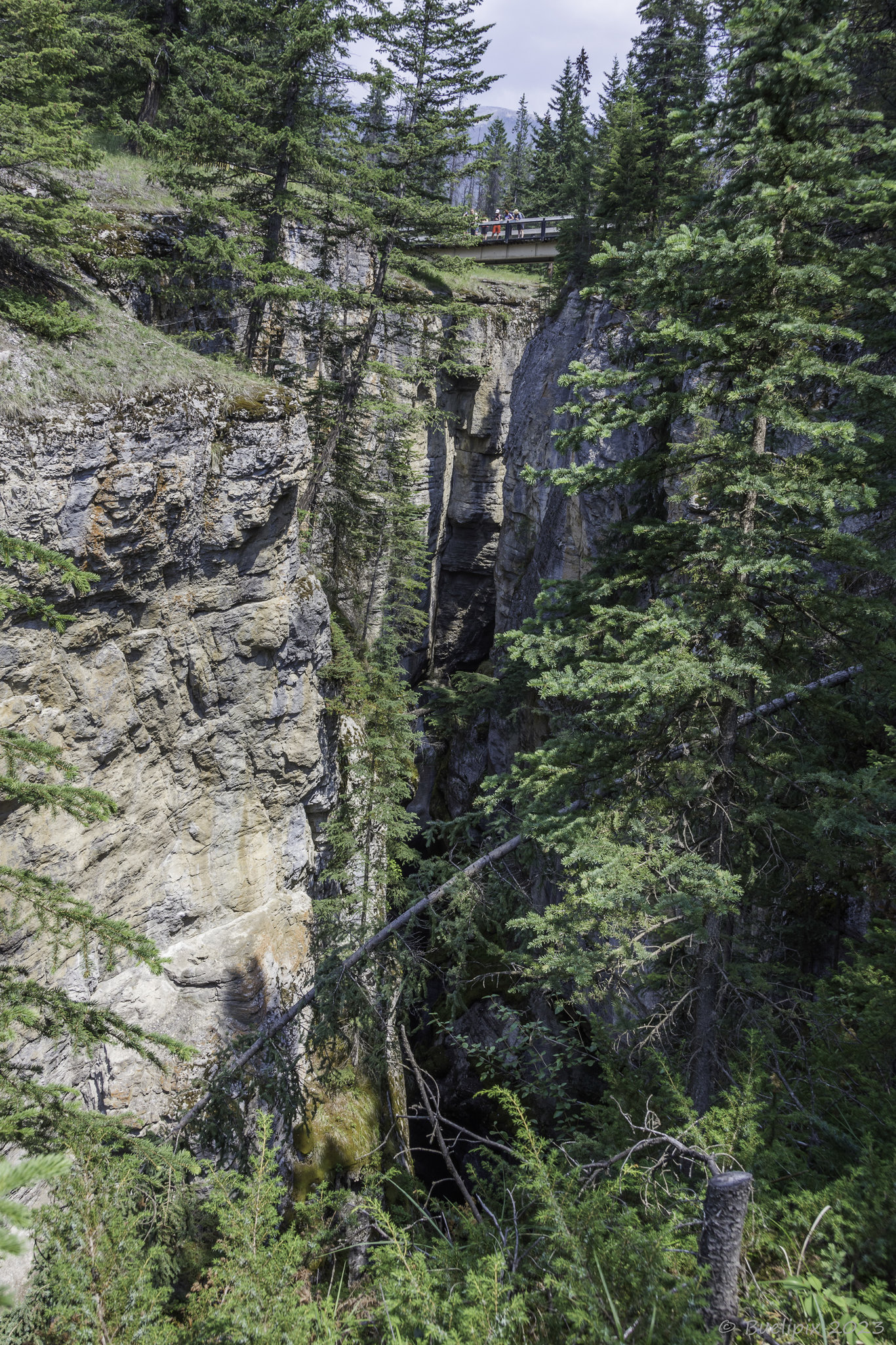 auf dem Maligne Canyon Trail, Blick zurück auf die 'Second Bridge' (© Buelipix)