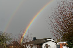 Regenbogen