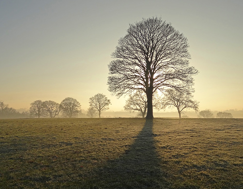 Winters evening