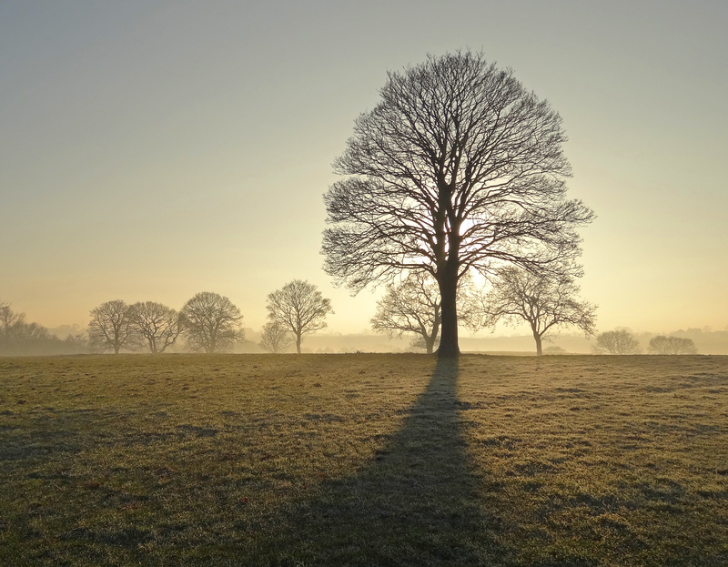 Winters evening