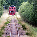 Fahrt durch den Wald (PiP)