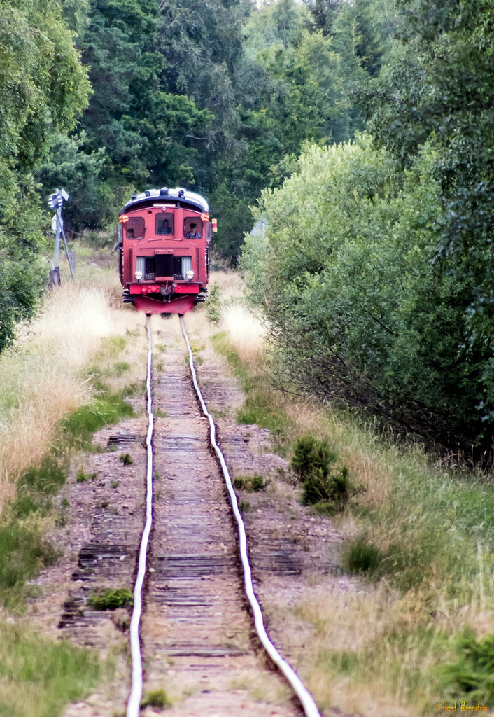 Fahrt durch den Wald (PiP)