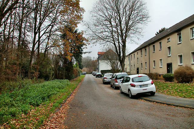 Hölterheide (Bochum-Werne) / 20.11.2018