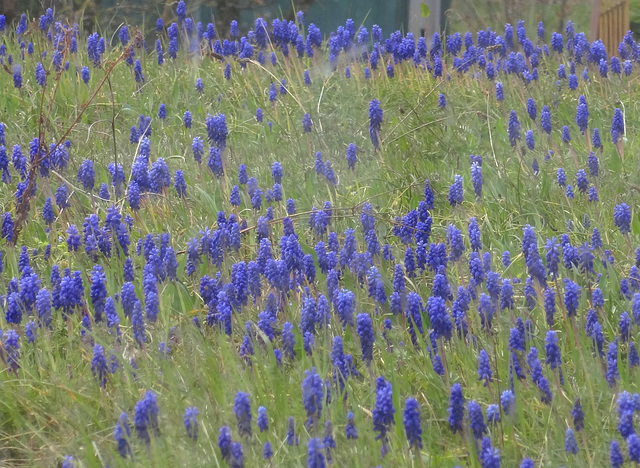 draußen ist Frühling