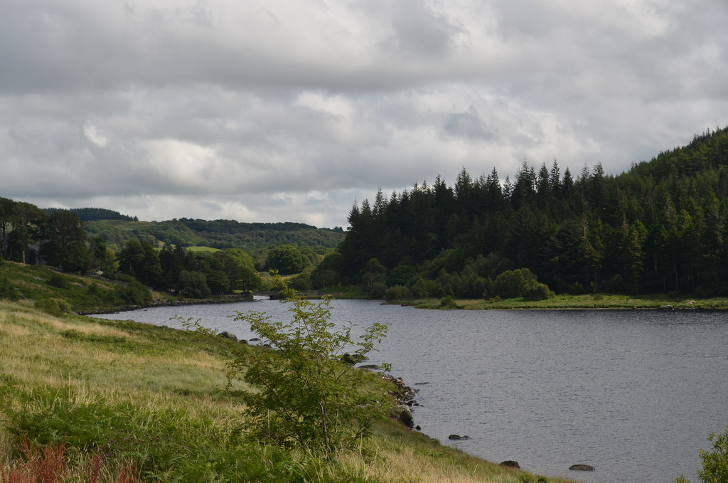 Wales, Lake in Snowdonia National Park